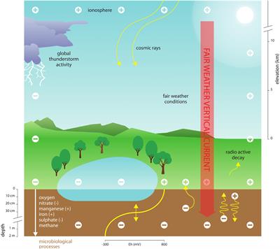 Atmospheric Electricity Influencing Biogeochemical Processes in Soils and Sediments